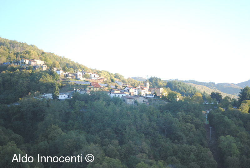 VIBBIANA: PANORAMA 1' IMMAGINE